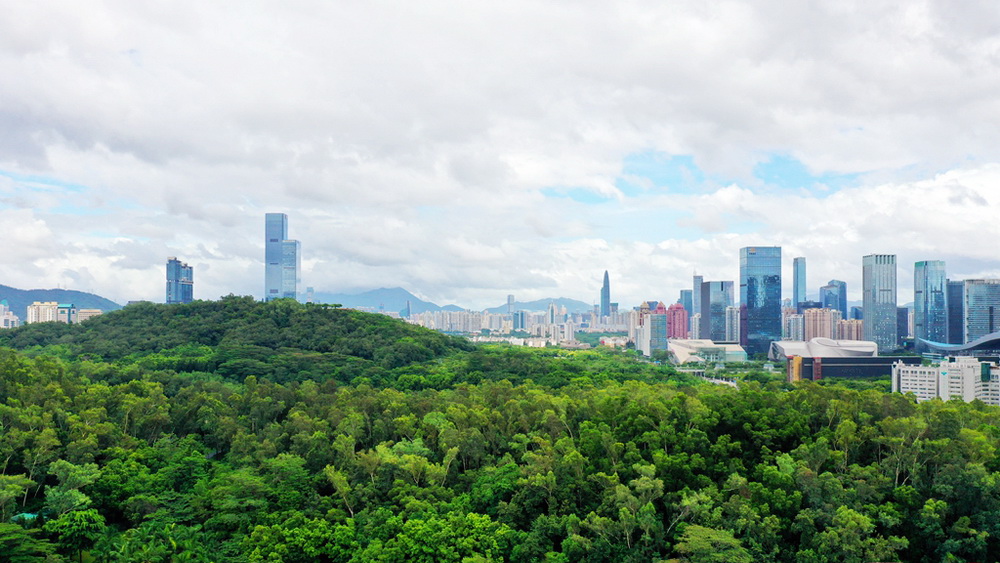 2021年首季經(jīng)濟(jì)迎來開門紅，深圳發(fā)展勢(shì)頭強(qiáng)勁